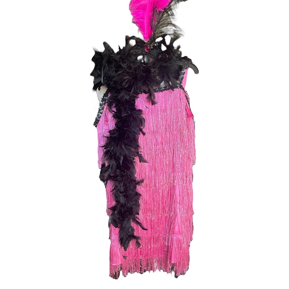 Chasing fireflies girls flapper costume